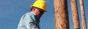 Lineworker on a post