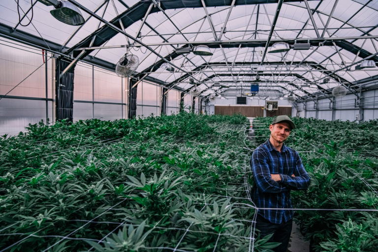 Young Adult Male Farmer Standing Smiling in His Indoor Greenhouse Nursery Full of Herbal Cannabis Plants at a CBD Oil Hemp Marijuana Farm